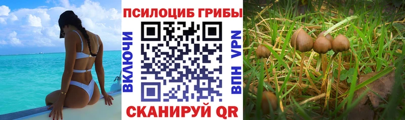 Галлюциногенные грибы ЛСД наркошоп Арсеньев